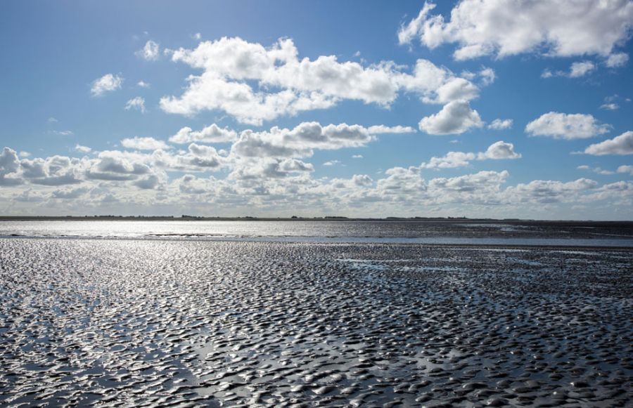 zachtebed-b67af0ea afbeelding Waddenhaven Texel: vaartochten vaartochten texel, varen texel, varen naar texel