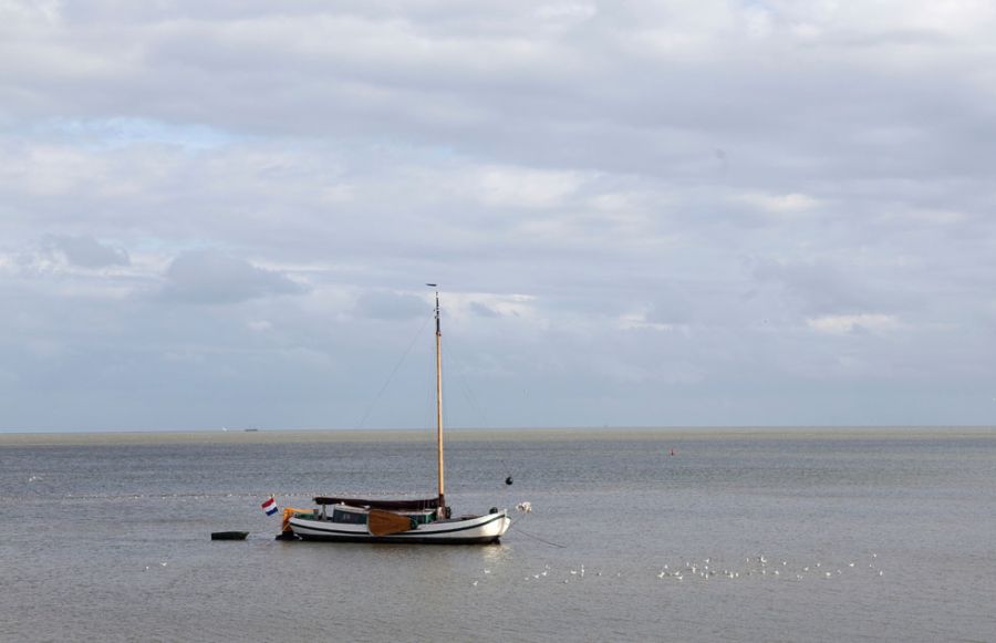 Amsteldiep-cc2a151b afbeelding Waddenhaven Texel: vaartochten vaartochten texel, varen texel, varen naar texel